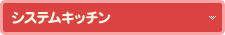 �V�X�e���L�b�`��